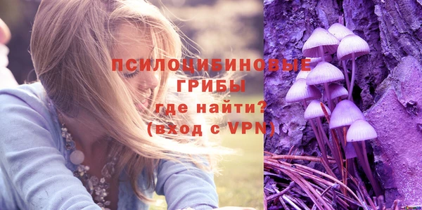ALPHA PVP Михайловск