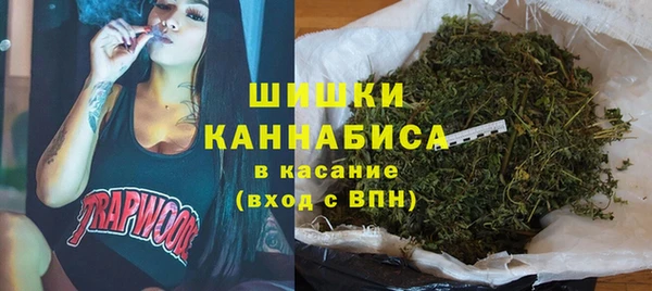 сатива Михайловка