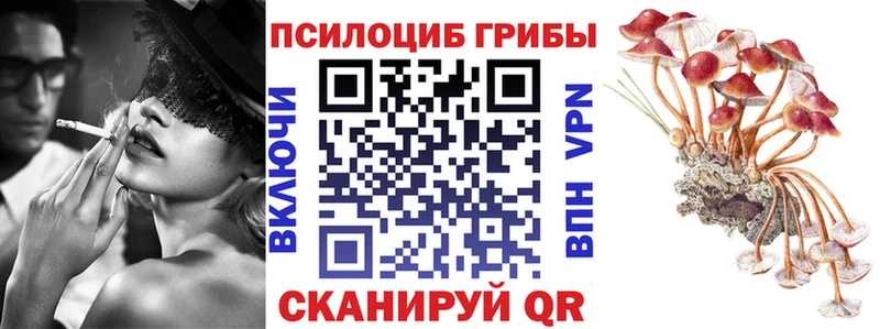 даркнет сайт  KRAKEN ССЫЛКА  Псилоцибиновые грибы MAGIC MUSHROOMS  Тбилисская 